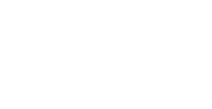 logo light